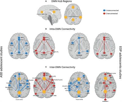 A Review of Default Mode Network Connectivity and Its Association With Social Cognition in Adolescents With Autism Spectrum Disorder and Early-Onset Psychosis